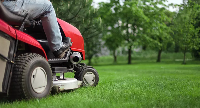 Jardinería Integral